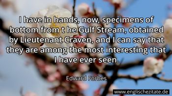 Englisches Zitat von Edward Forbes als Bild