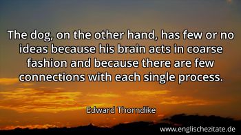 Englisches Zitat von Edward Thorndike als Bild