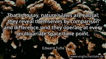 Englisches Zitat von Edward Tufte als Bild