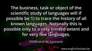 Englisches Zitat von Ferdinand de Saussure als Bild