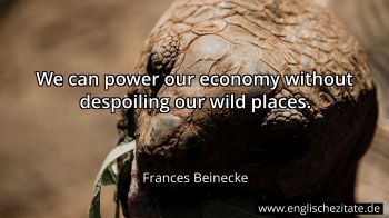 Englisches Zitat von Frances Beinecke als Bild