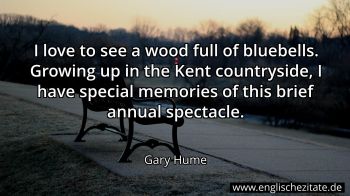 Englisches Zitat von Gary Hume als Bild