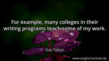 Englisches Zitat von Gay Talese als Bild