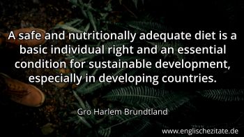 Englisches Zitat von Gro Harlem Brundtland als Bild