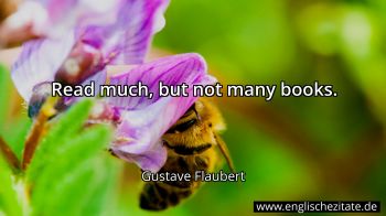 Englisches Zitat von Gustave Flaubert als Bild