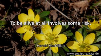 Englisches Zitat von Harold MacMillan als Bild