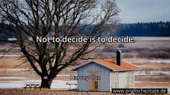 Englisches Zitat von Harvey Cox als Bild