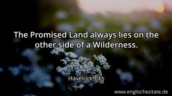 Englisches Zitat von Havelock Ellis als Bild