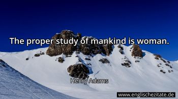 Englisches Zitat von Henry Adams als Bild