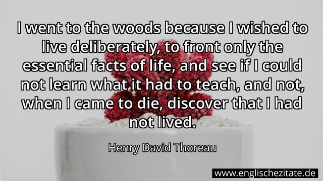 Henry David Thoreau - I went to the woods because I wished to live ...