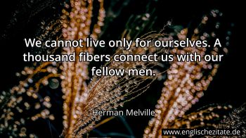 Englisches Zitat von Herman Melville als Bild