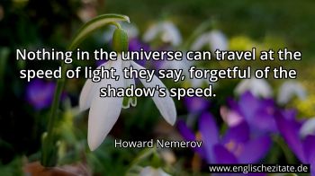 Englisches Zitat von Howard Nemerov als Bild