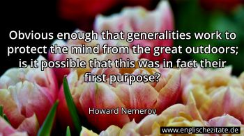Englisches Zitat von Howard Nemerov als Bild