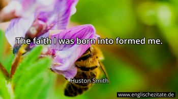 Englisches Zitat von Huston Smith als Bild