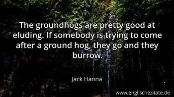 Englisches Zitat von Jack Hanna als Bild