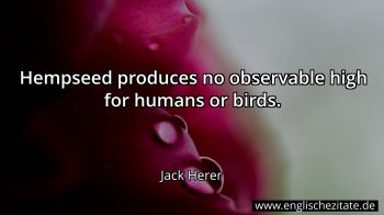 Englisches Zitat von Jack Herer als Bild