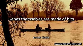 Englisches Zitat von James Gleick als Bild
