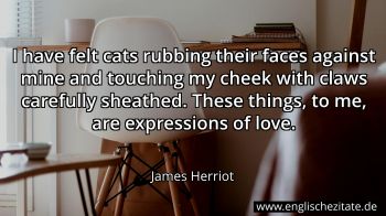 Englisches Zitat von James Herriot als Bild