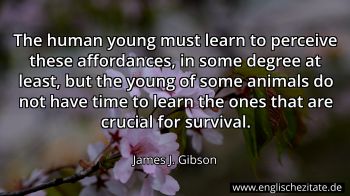 Englisches Zitat von James J. Gibson als Bild