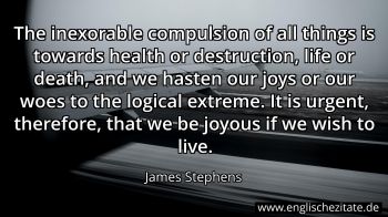 Englisches Zitat von James Stephens als Bild