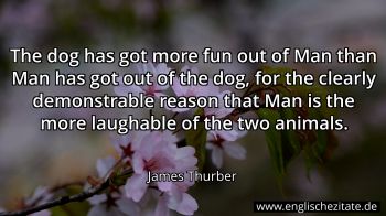 Englisches Zitat von James Thurber als Bild