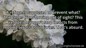Englisches Zitat von Jeremy Rifkin als Bild