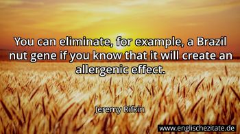 Englisches Zitat von Jeremy Rifkin als Bild