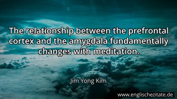 Englisches Zitat von Jim Yong Kim als Bild