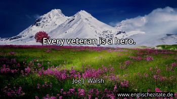 Englisches Zitat von Joe J. Walsh als Bild