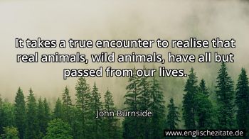 Englisches Zitat von John Burnside als Bild
