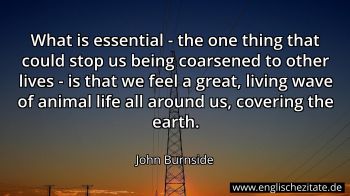 Englisches Zitat von John Burnside als Bild