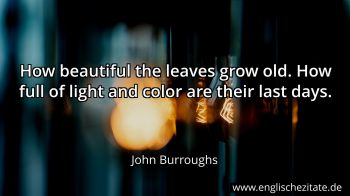 Englisches Zitat von John Burroughs als Bild