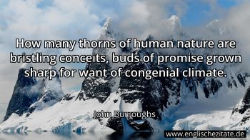 Englisches Zitat von John Burroughs als Bild
