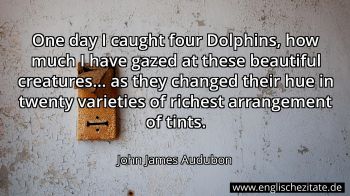 Englisches Zitat von John James Audubon als Bild