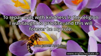 Englisches Zitat von John James Audubon als Bild