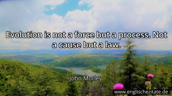 Englisches Zitat von John Morley als Bild