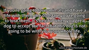 Englisches Zitat von Jon Katz als Bild