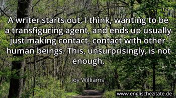 Englisches Zitat von Joy Williams als Bild