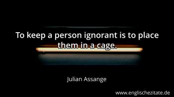 Englisches Zitat von Julian Assange als Bild