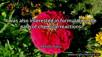 Englisches Zitat von Kenichi Fukui als Bild