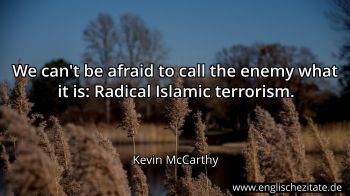 Englisches Zitat von Kevin McCarthy als Bild