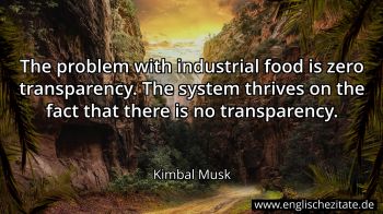 Englisches Zitat von Kimbal Musk als Bild
