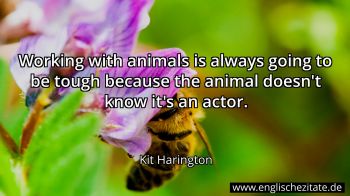 Englisches Zitat von Kit Harington als Bild