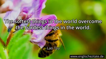 Englisches Zitat von Lao Tzu als Bild
