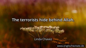 Englisches Zitat von Linda Chavez als Bild