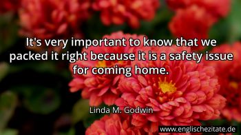 Englisches Zitat von Linda M. Godwin als Bild
