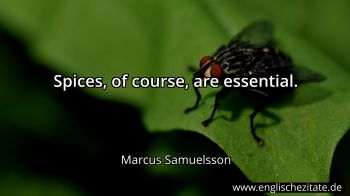 Englisches Zitat von Marcus Samuelsson als Bild