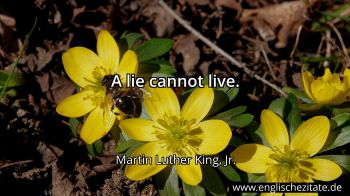 Englisches Zitat von Martin Luther King, Jr. als Bild