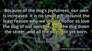Englisches Zitat von Mary Oliver als Bild