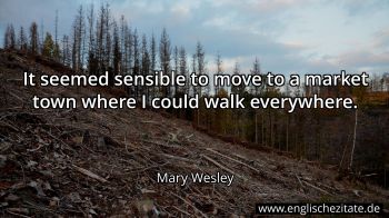 Englisches Zitat von Mary Wesley als Bild